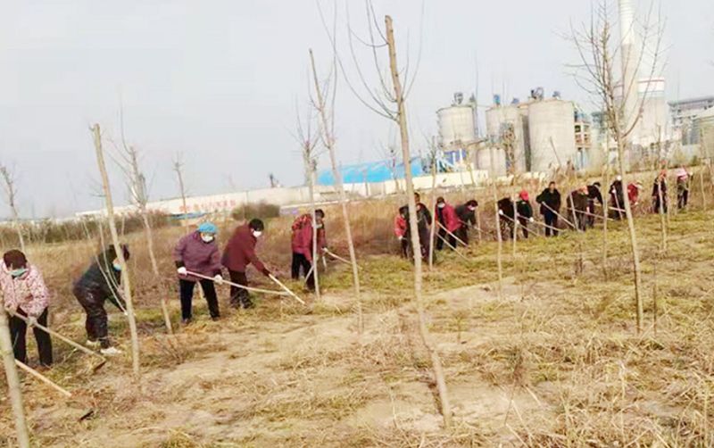 長(zhǎng)垣市天然文巖渠右堤綠化和圍城林工程