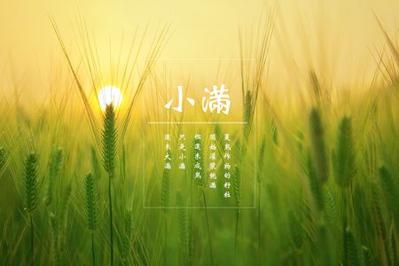 今日小滿(mǎn)